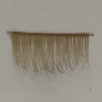 アイラッシュ/3017 Blonde